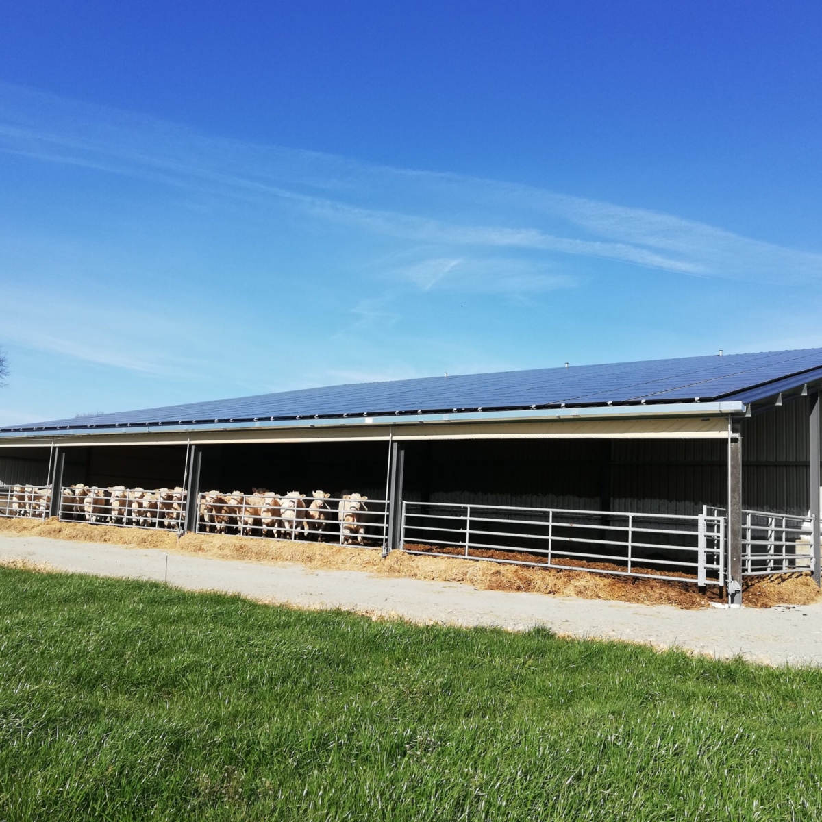 À l’occasion de la Journée mondiale du lait, coup de projecteur sur nos partenaires éleveurs