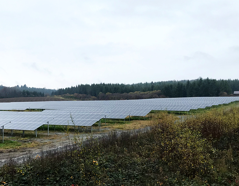 Parc solaire en extérieur avec champs de panneaux photovoltaïques alignés, entouré de végétation et de forêt à l'hori