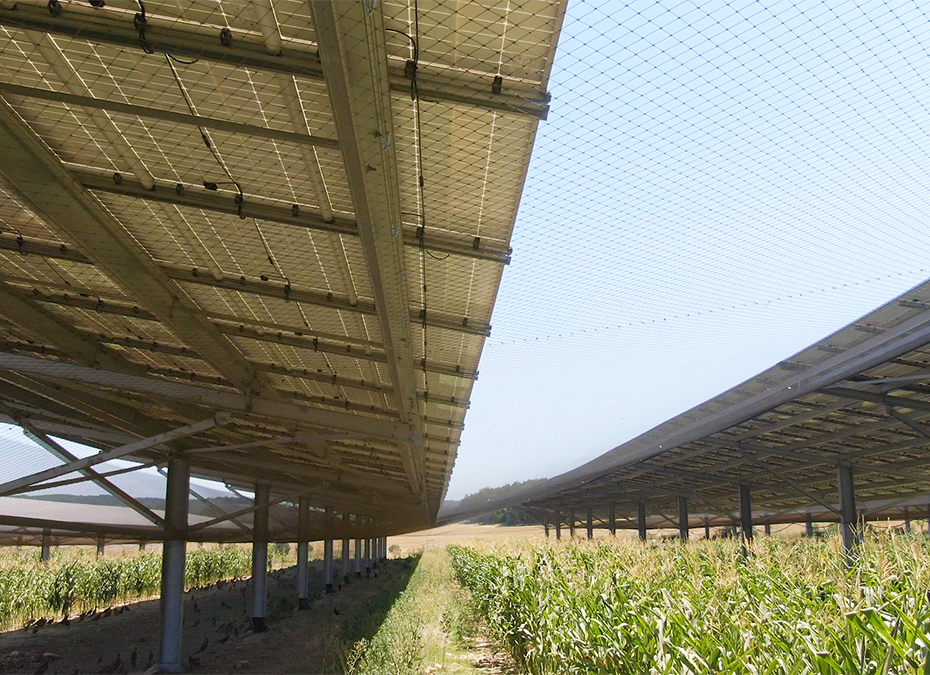 Volière photovoltaïque