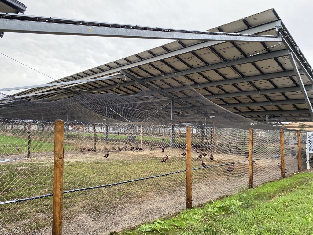 Volière photovoltaïque