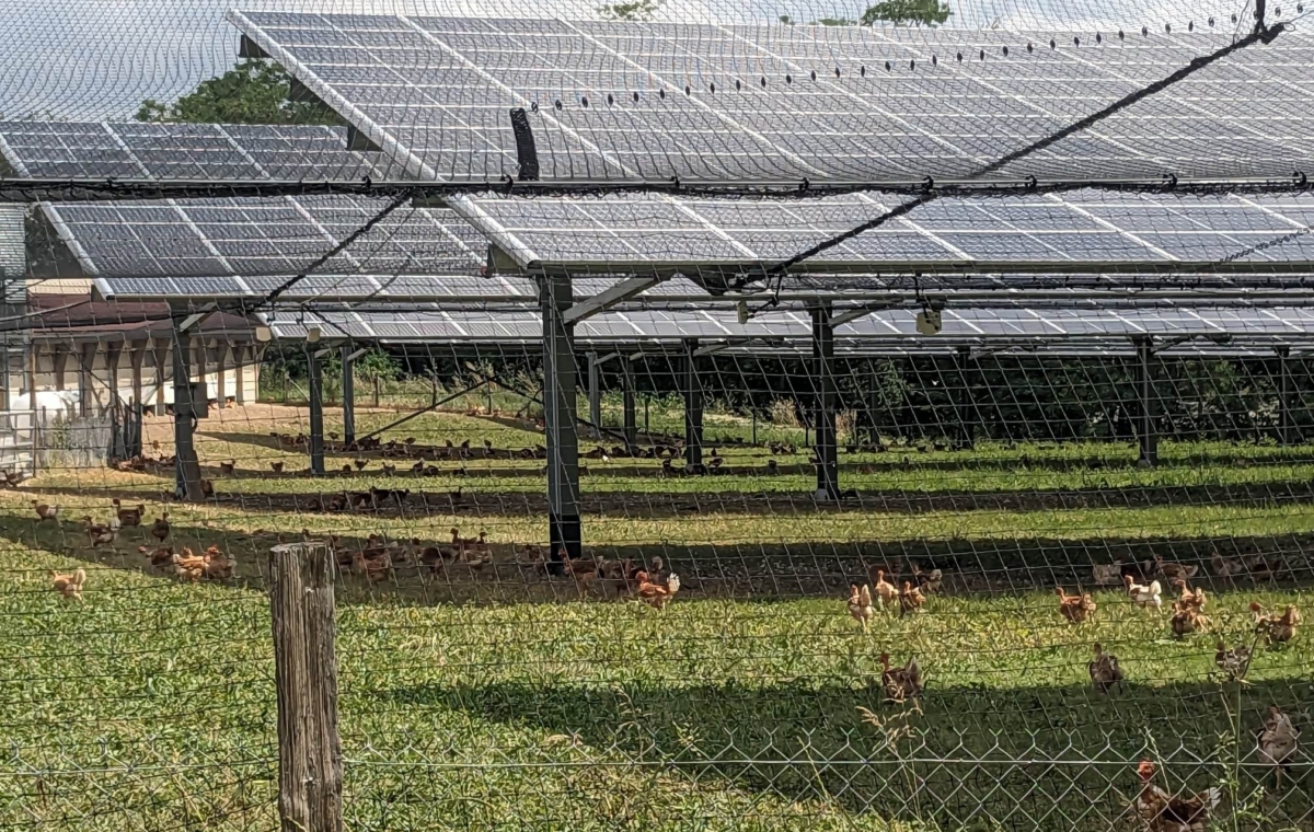 Volière Photovoltaïque