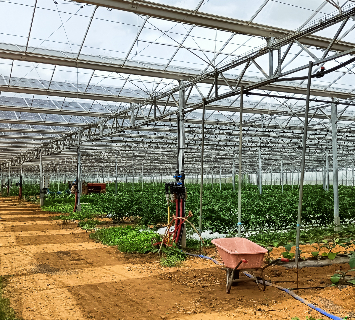 Serre photovoltaïque