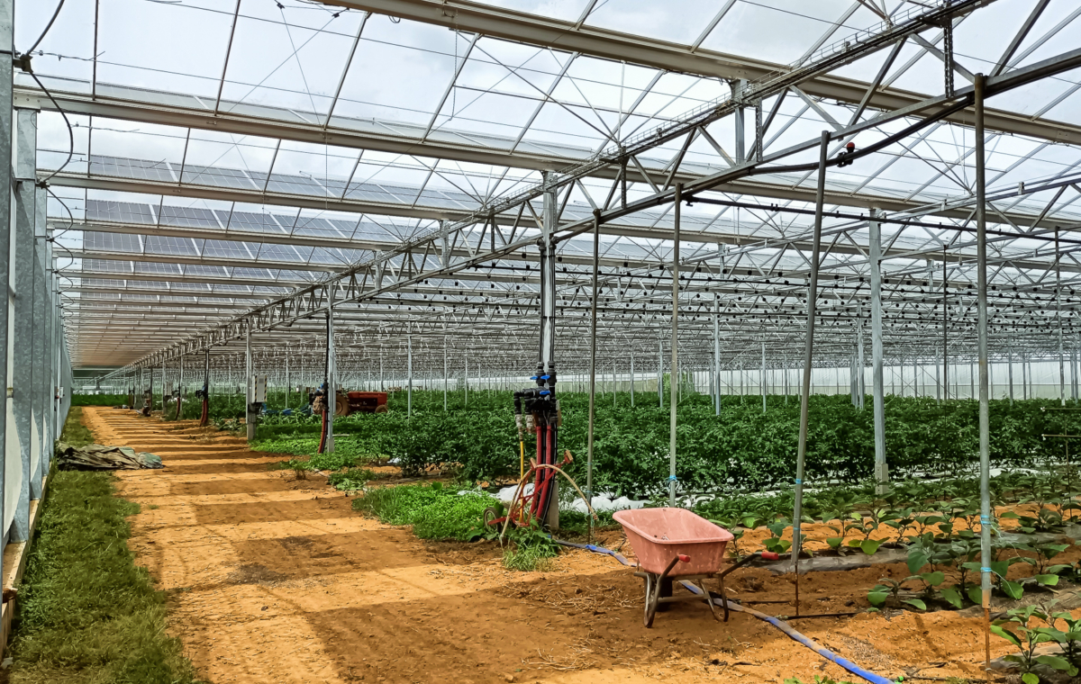 Serre photovoltaïque