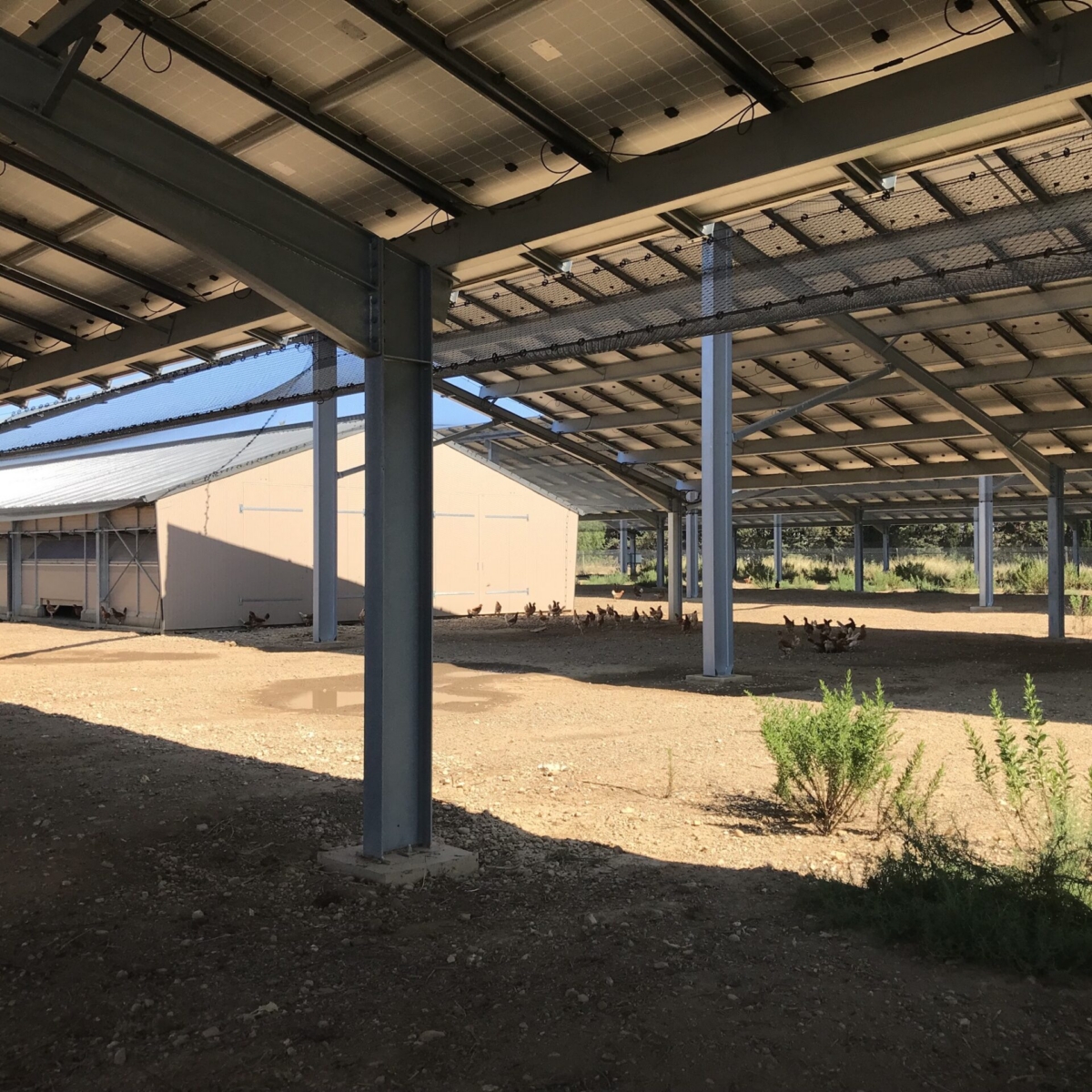 Volière photovoltaïque