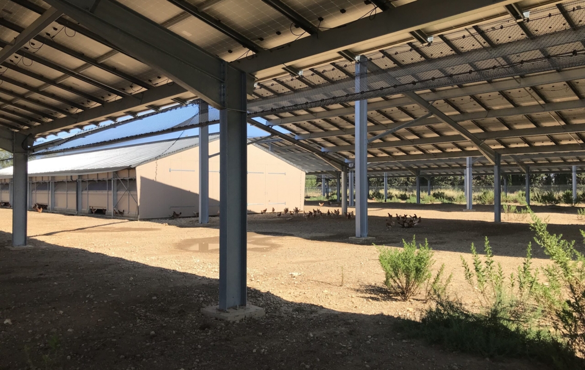 Volière photovoltaïque