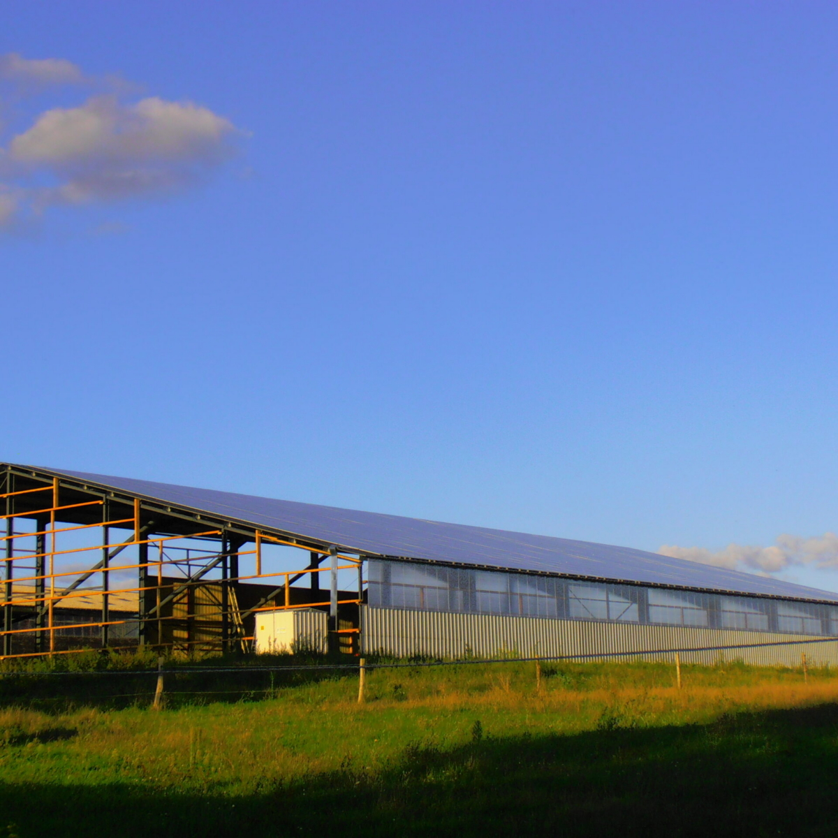 Building construction support of a horse riding arena