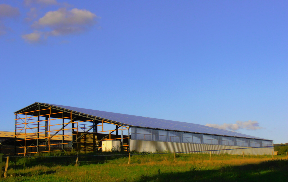Bâtiment agricole en métal avec structure métallique et toit vitré sous un ciel dégagé