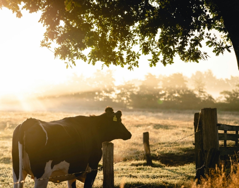 Comment reprendre une exploitation agricole ?