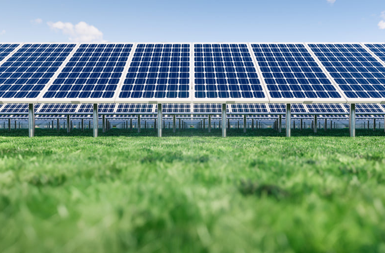 Parc solaire composé de nombreux panneaux photovoltaïques alignés sur un champ vert