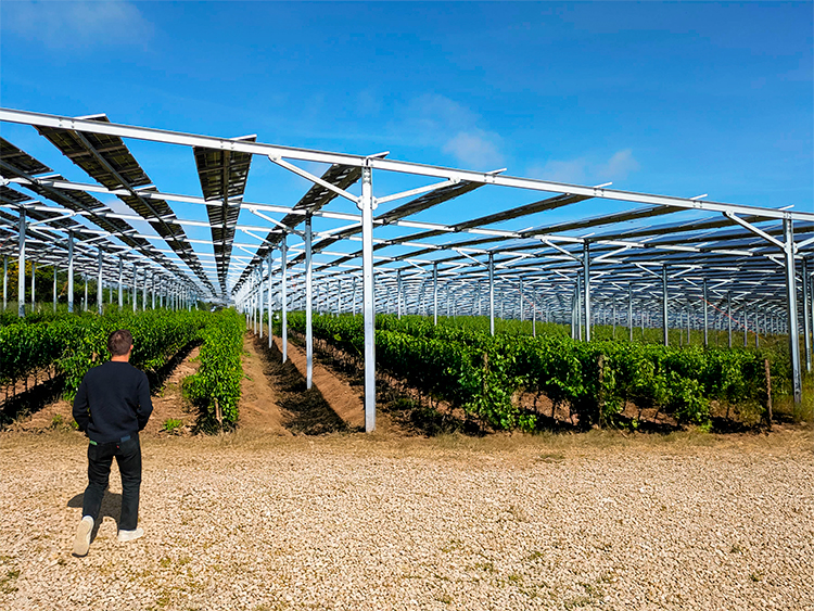 L’essentiel à savoir avant de lancer son projet agrivoltaïque