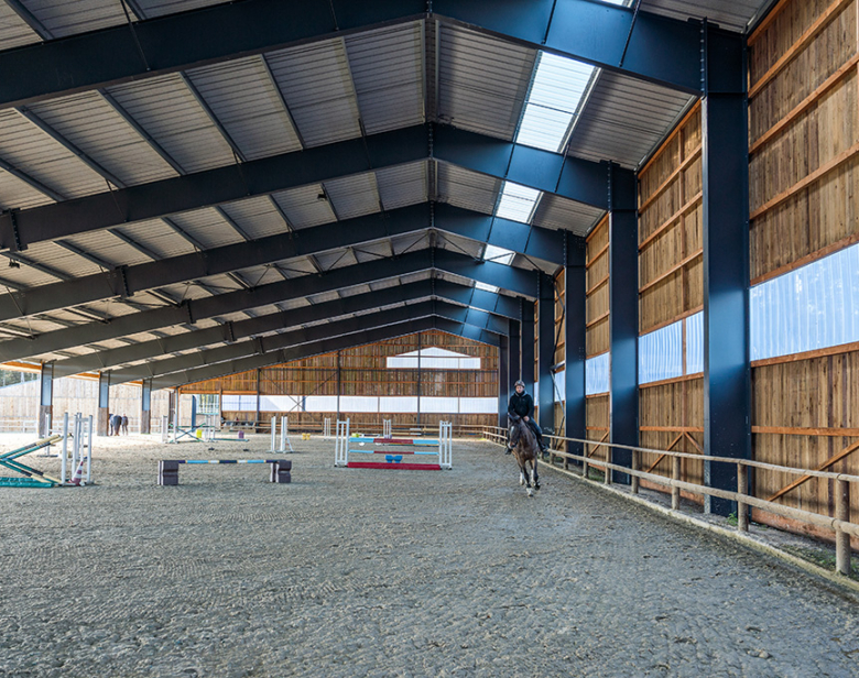 Comment construire une carrière équestre de qualité ?