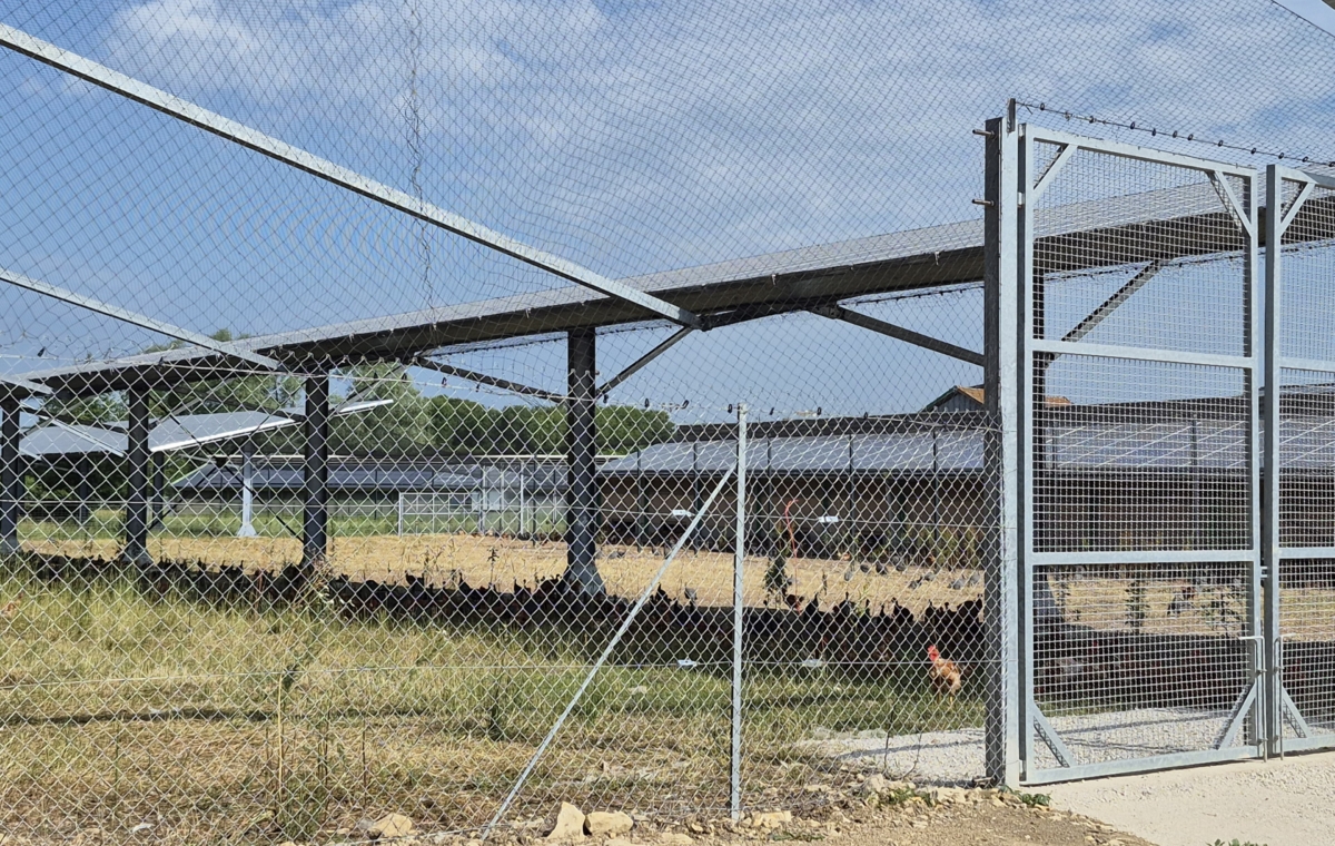 Clôture métallique avec barbelés et structure en béton, vue sous un ciel dégagé et terrain herbeux en arrière-plan