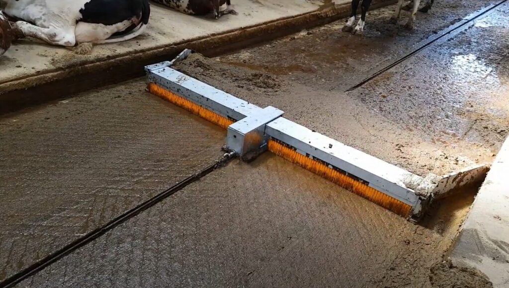 racloir lisier stabulation vaches laitieres
