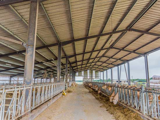 couloir d'alimentation bovin hangar aménagé