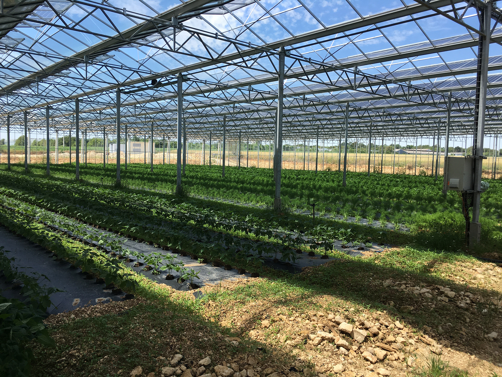 photovoltaique serre