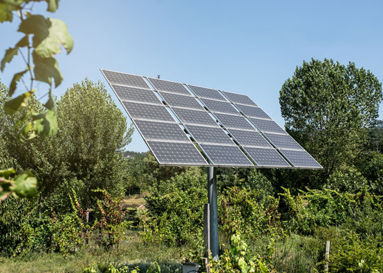 Panneau solaire monté sur support dans un jardin verdoyant avec végétation environnante
