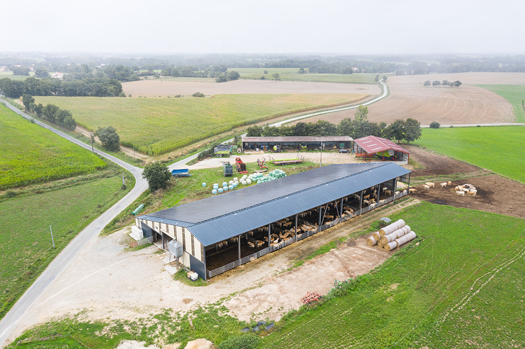 Construction d&rsquo;un hangar neuf pour bovins