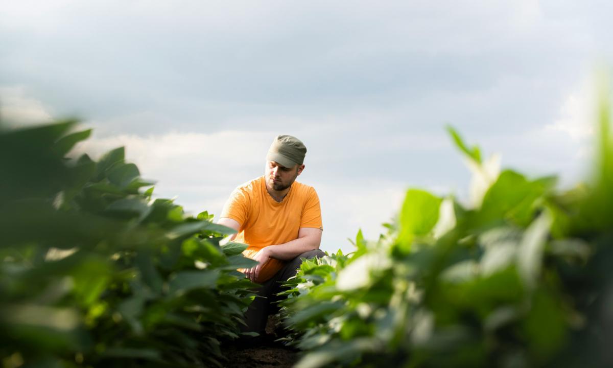 Exploitants agricoles