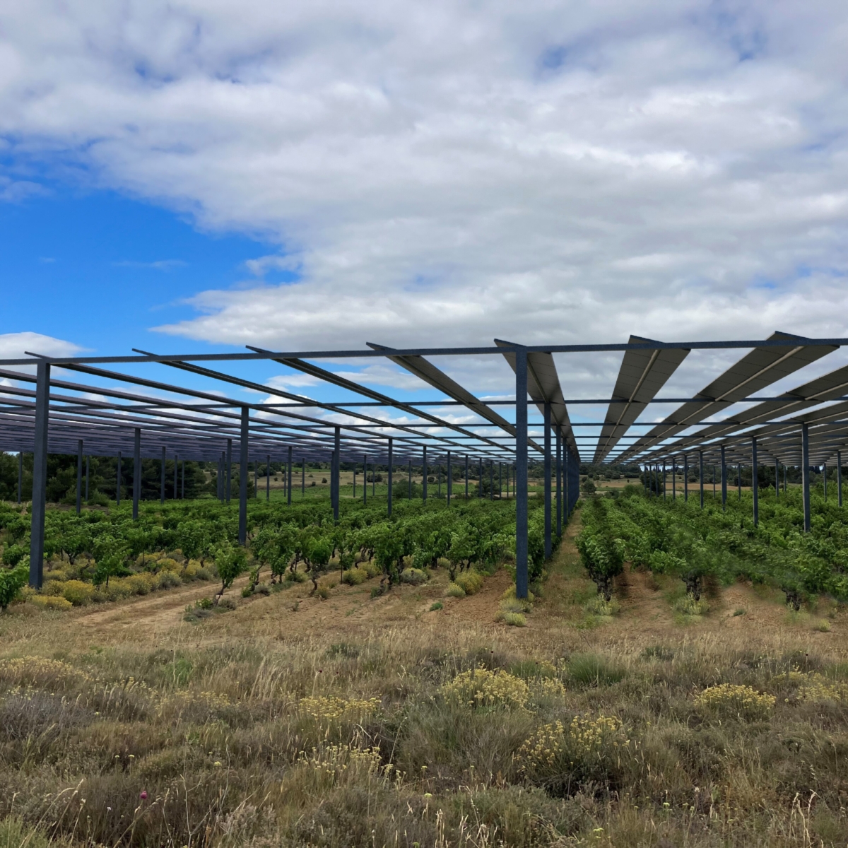 Abri climatique solaire photovoltaïque
