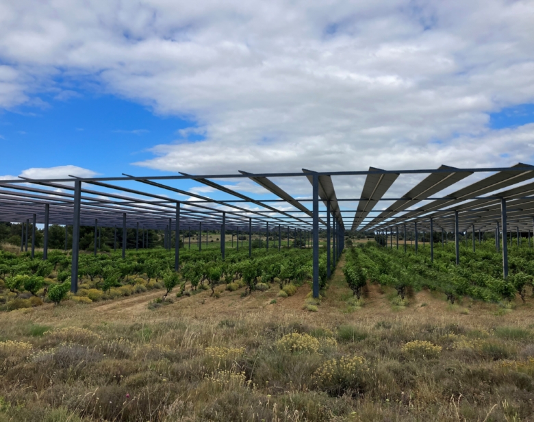 Vignoble moderne couvert par des structures d’ombrières solaires permettant une production agricole optimisée tout en int
