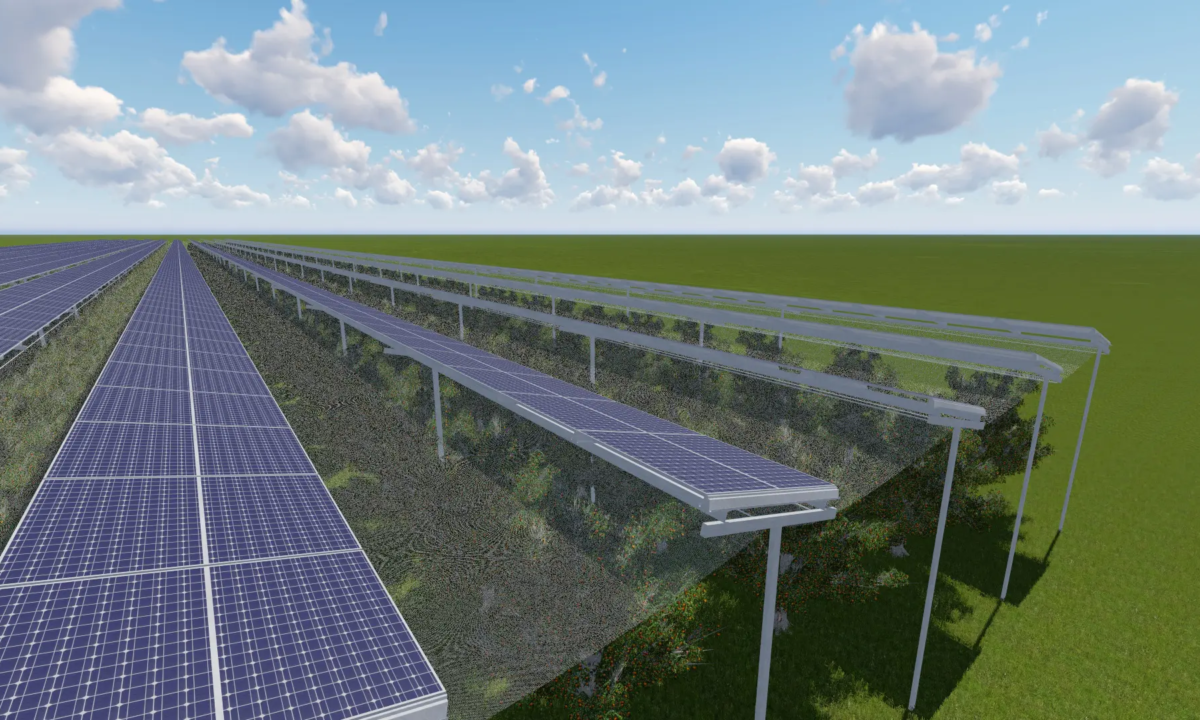 Quels sont les avantages et potentiels inconvénients de l’agrivoltaïsme ?