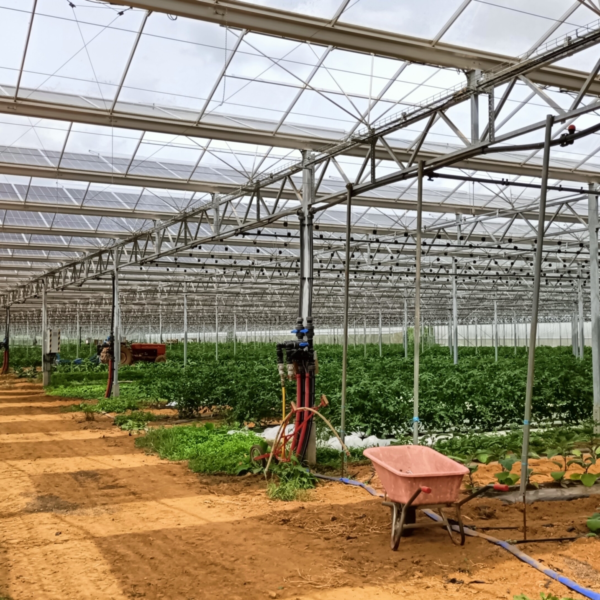 Serre solaire photovoltaïque