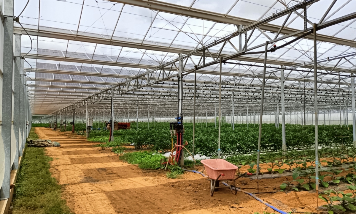 Serre solaire photovoltaïque