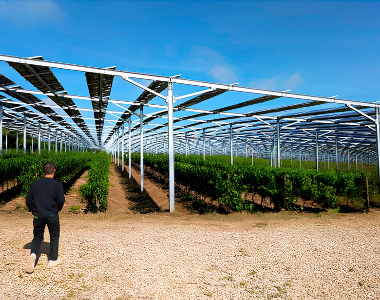 Panneau solaire et vigne : la production d’énergie dans les vignobles