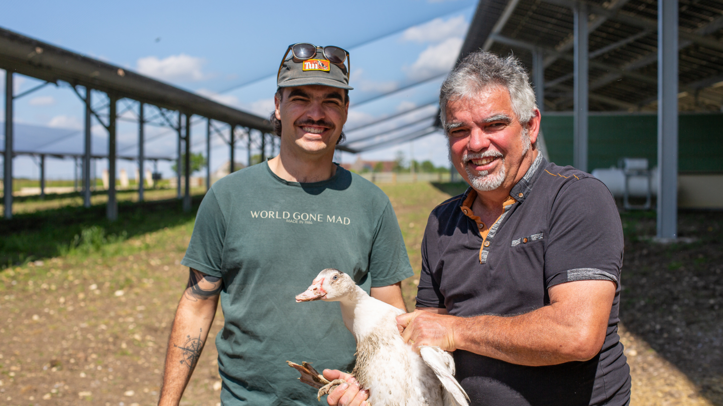 Deux hommes souriants tiennent un jeune poulet sous une structure agricole avec ombrières solaires en arrière-plan mettant