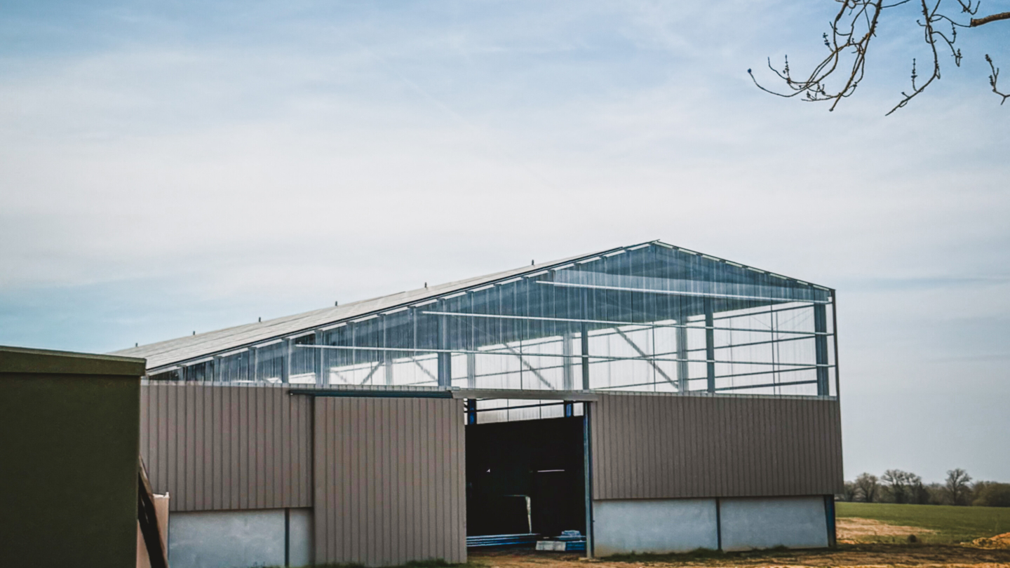 Serre agricole moderne en plein champ avec structure transparente pour l’ombrière solaire et la culture sous abri