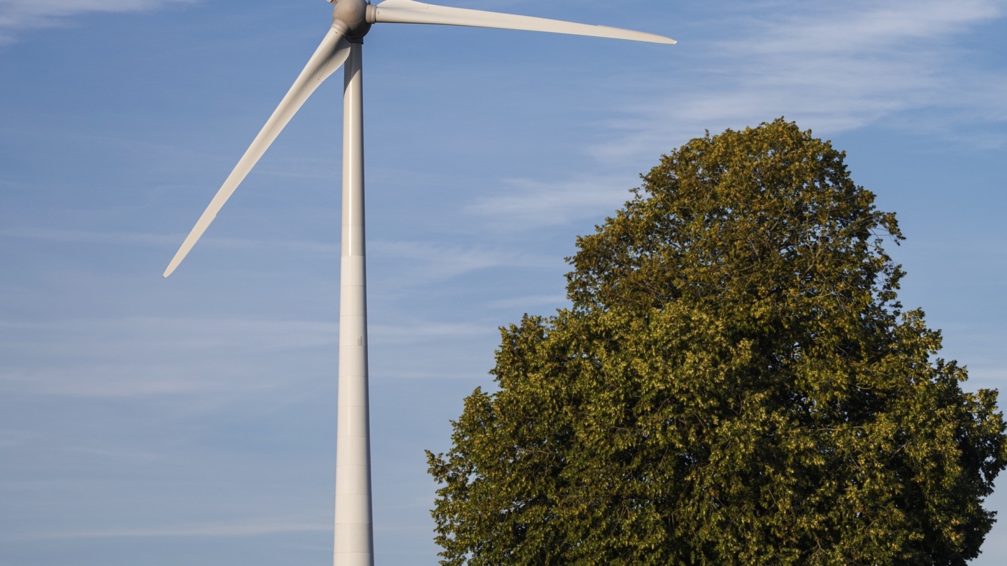 Éolienne moderne en pleine campagne bordant un chemin rural et des champs cultivés sous un ciel dégagé