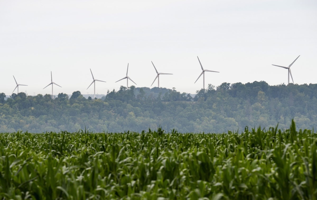 Paysage rural combinant champs verdoyants et éoliennes en arrière-plan illustrant une transition énergétique durable par