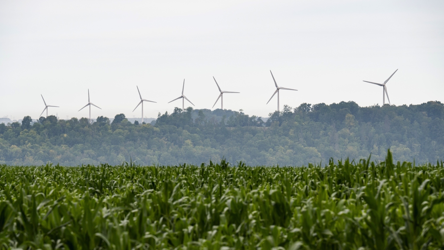 Paysage rural combinant champs verdoyants et éoliennes en arrière-plan illustrant une transition énergétique durable par