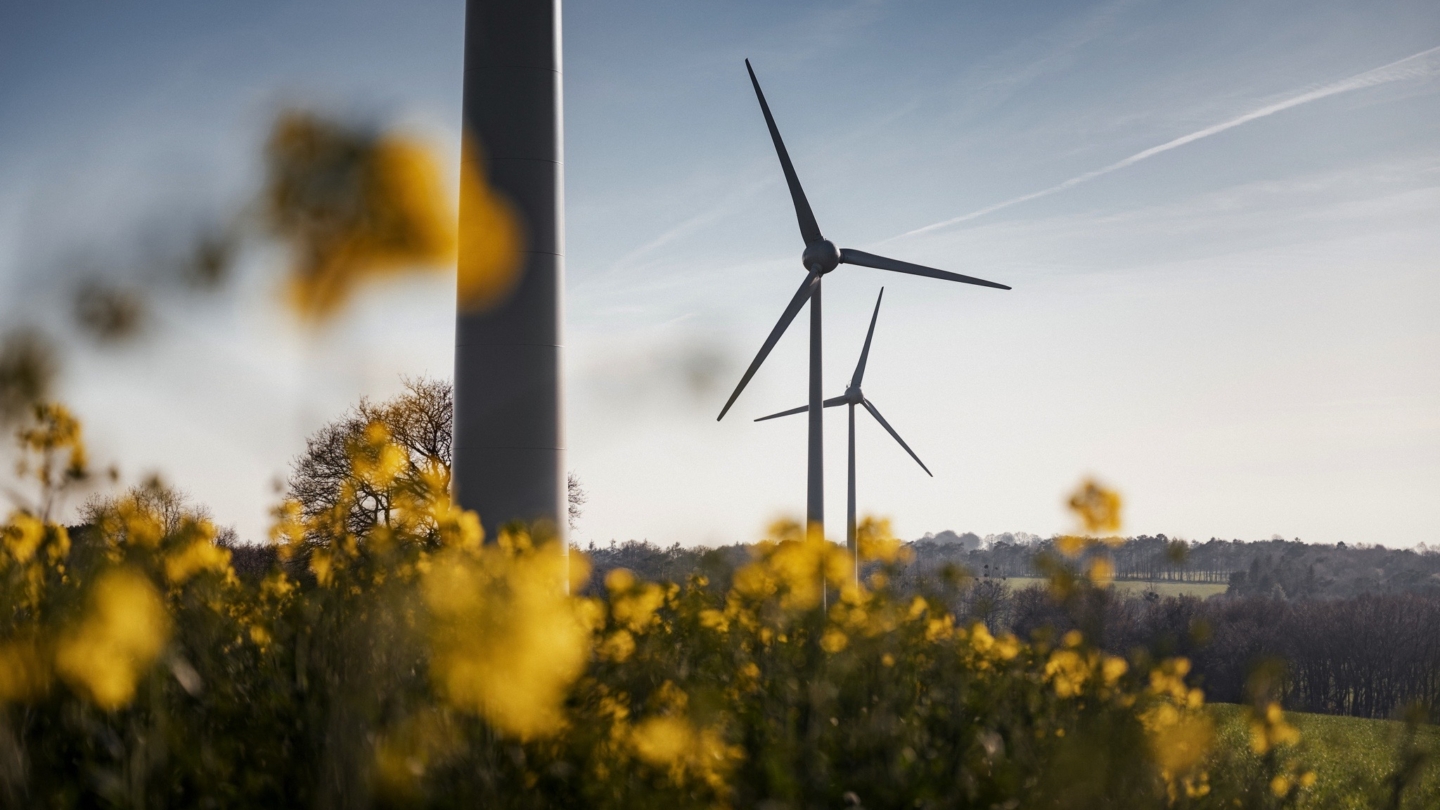 Éolienne moderne s’élève dans un champ de fleurs jaunes sous un ciel dégagé en pleine nature préservée