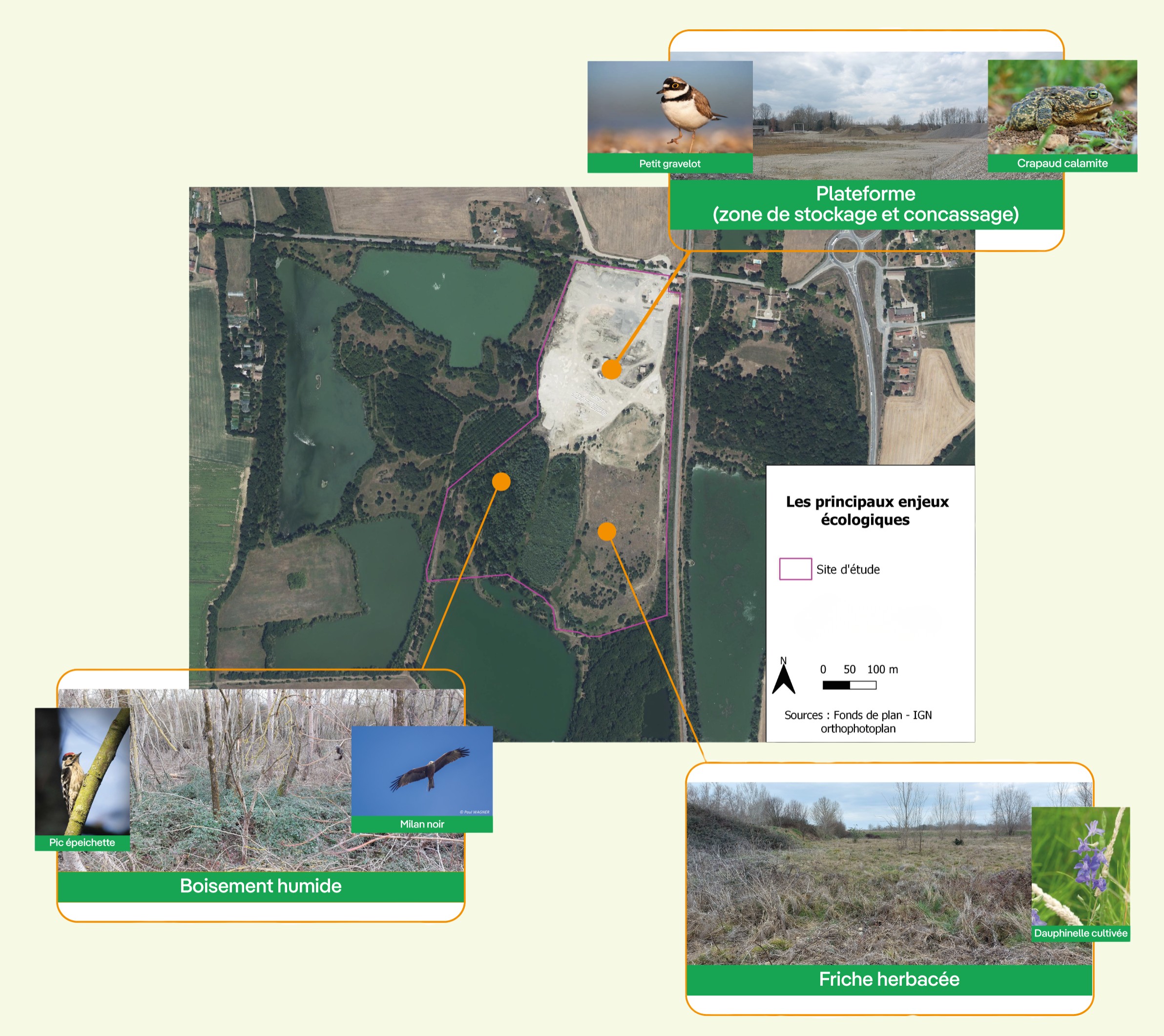 Carte écologique illustrant les principaux enjeux naturels d’un site de stockage et concassage avec ses zones humides et f