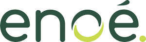Logo de la marque enoé spécialisé dans les solutions d’ombrières solaires pour une énergie durable et innovante
